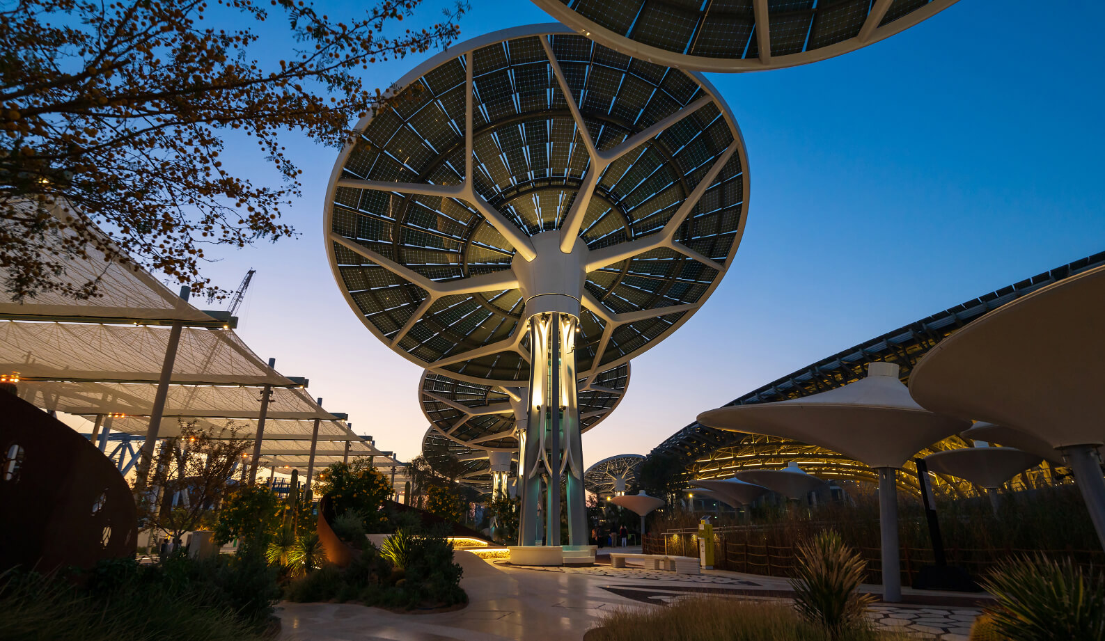 expo_2020_thumb (1).jpg