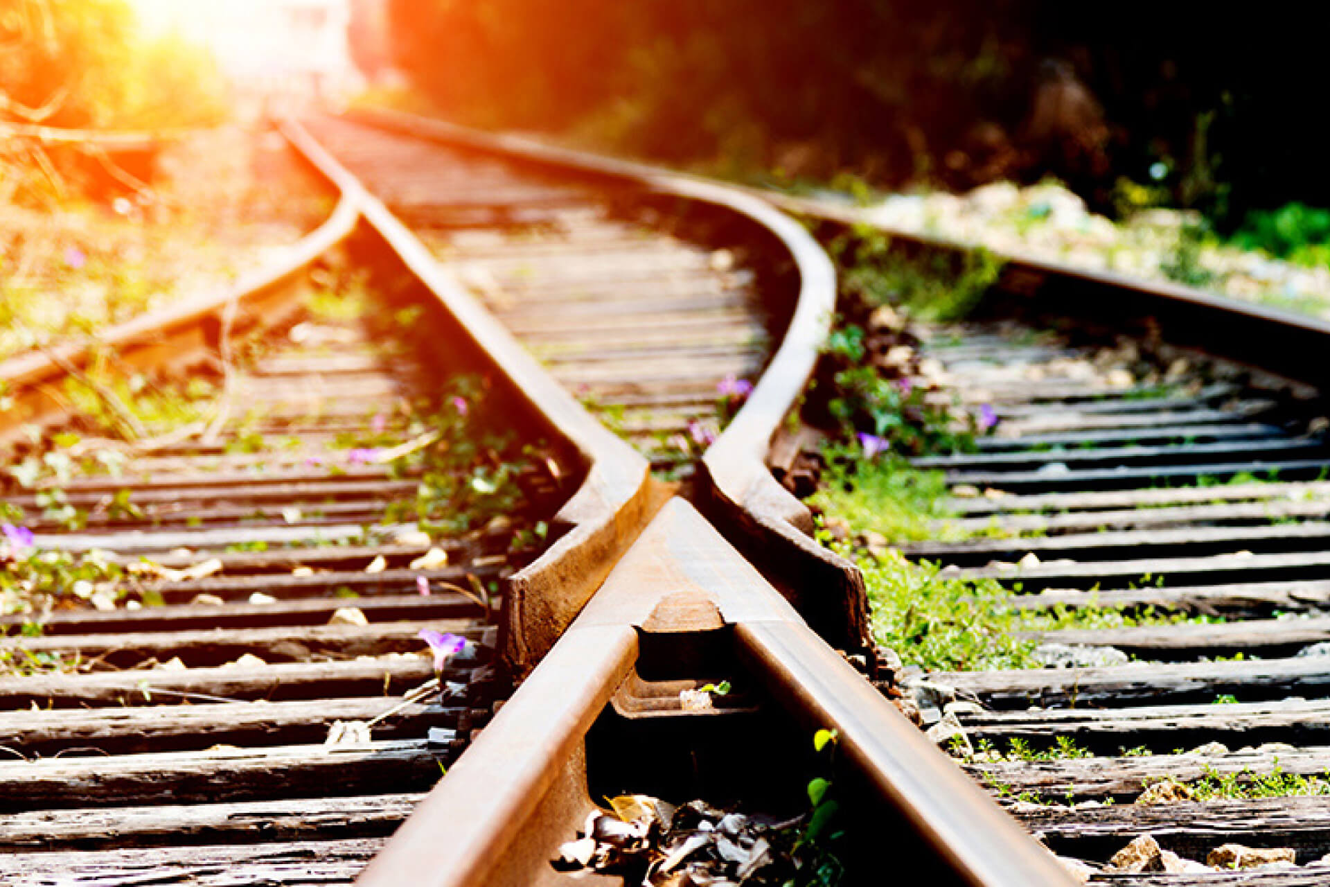 compass-cumming-tracks-lr_01.jpg