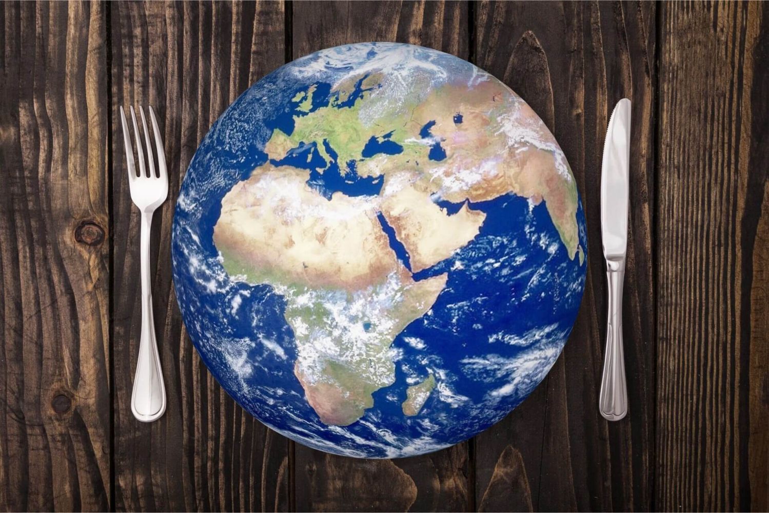 Forging Food Futures | Compass Project Consulting