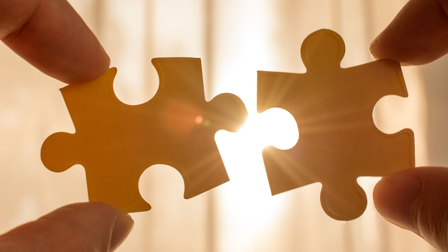 Compass Project Consulting