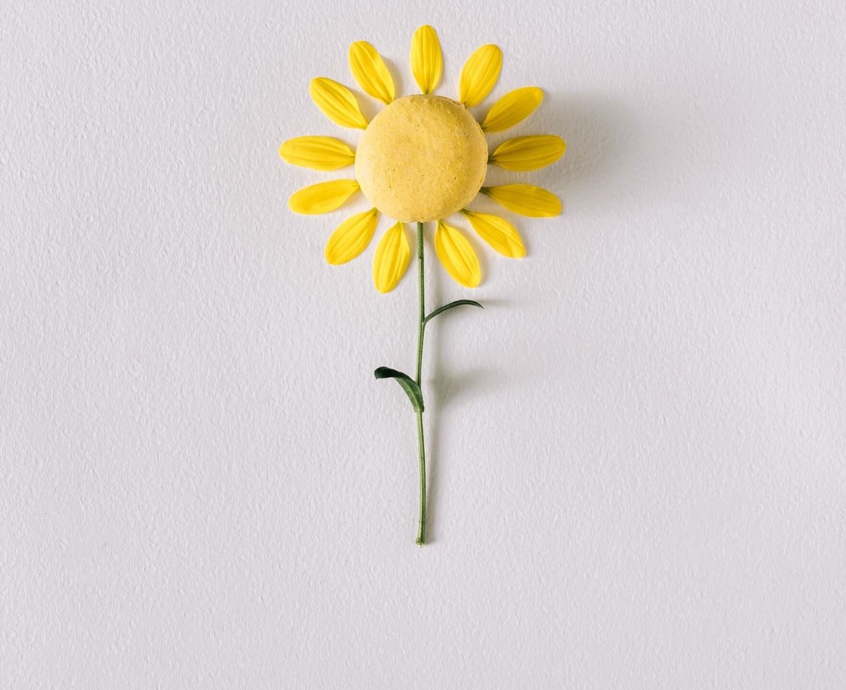 A Handy Tool for You